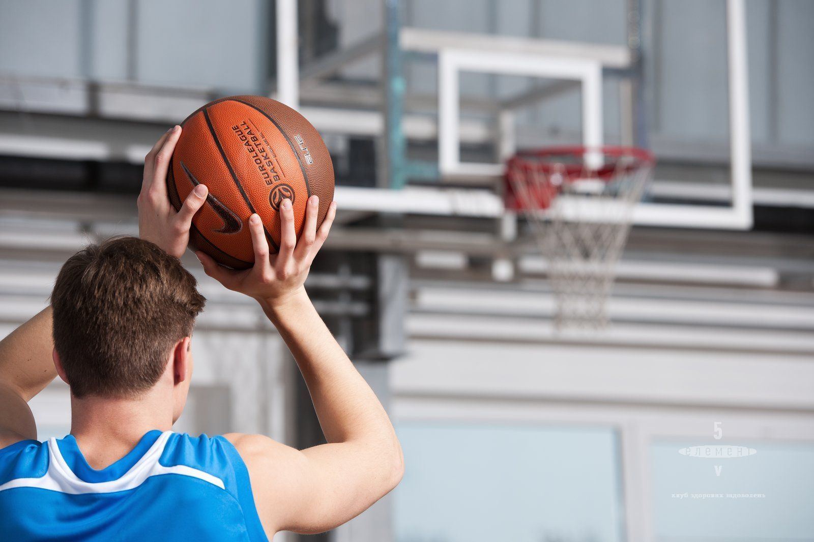 Faeboundrealms The Ultimate Fantasy Basketball Platform